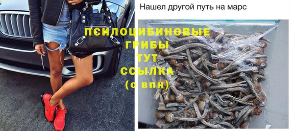 прущие грибы Остров