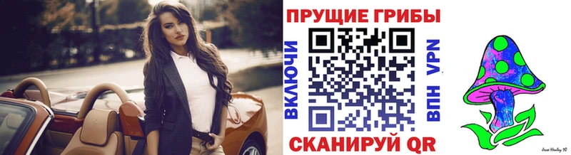 площадка Telegram  купить закладку  Пущино  Галлюциногенные грибы Cubensis  OMG маркетплейс 